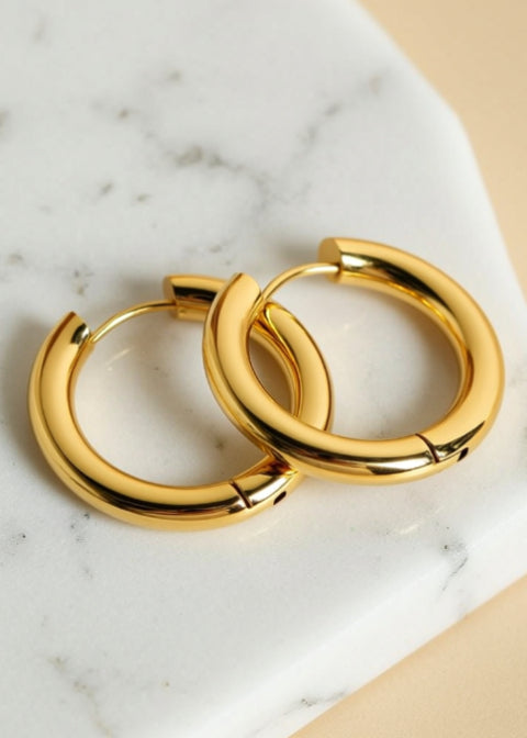 Chunky Titanium Steel Hoop Earrings, Gold or Silver