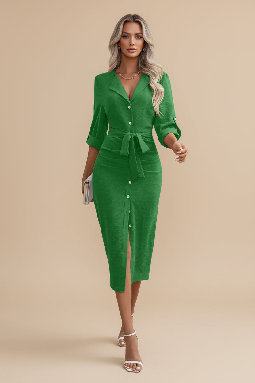 Daily Lapel Collar Woven Dress