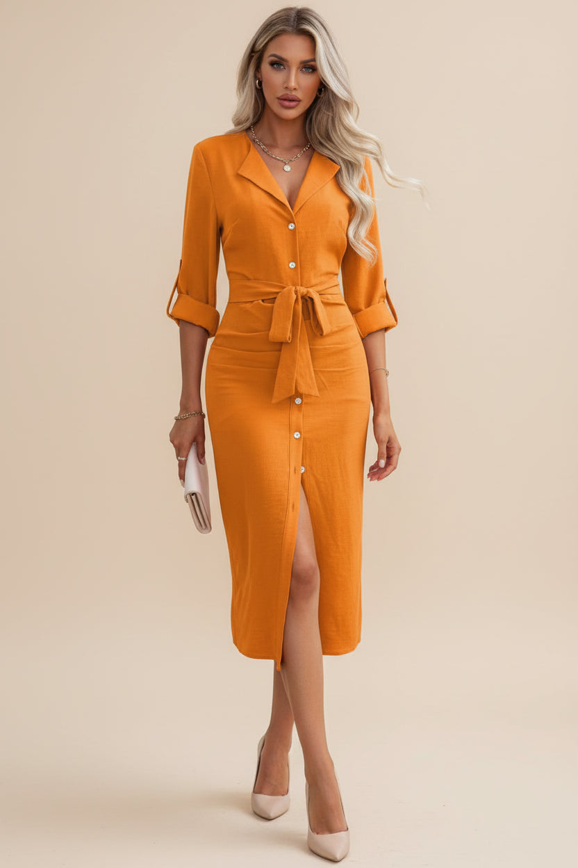 Daily Lapel Collar Woven Dress