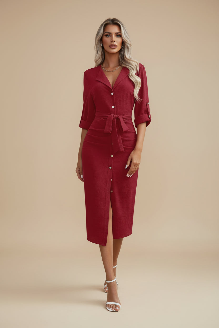 Daily Lapel Collar Woven Dress